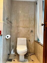 Valley Park (D10), Condominium #629794891